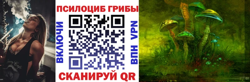 Псилоцибиновые грибы Psilocybine cubensis Домодедово