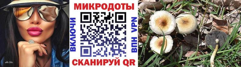 где найти наркотики  Домодедово  KRAKEN   Псилоцибиновые грибы GOLDEN TEACHER 